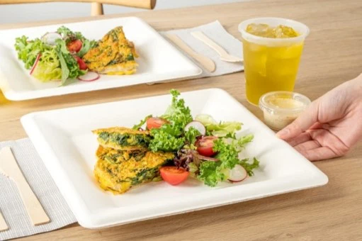 Bagasse Plate Bagasse Plate
